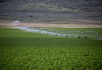 Kỹ thuật tưới phun mưa trong nông nghiệp công nghệ cao Kỹ thuật tưới phun mưa trong nông nghiệp công nghệ cao